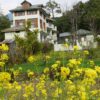 panchkarma centre near me