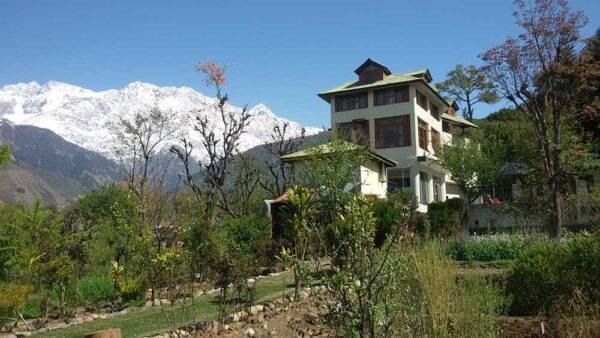self healing centre